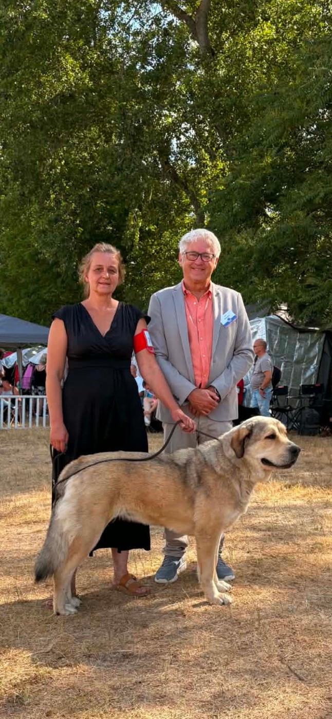 CH. Baron De Lavaud V-Amira 